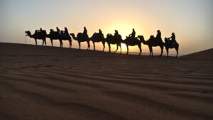 desert-tour-from-fes-to-marrakech