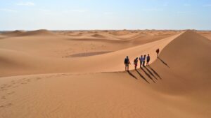 draa-valley-desert-trek-from-ouarzazate