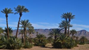 excursion-from-ouarzazate-to-merzouga-desert