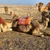 Excursion to agafay desert from Marrakesh