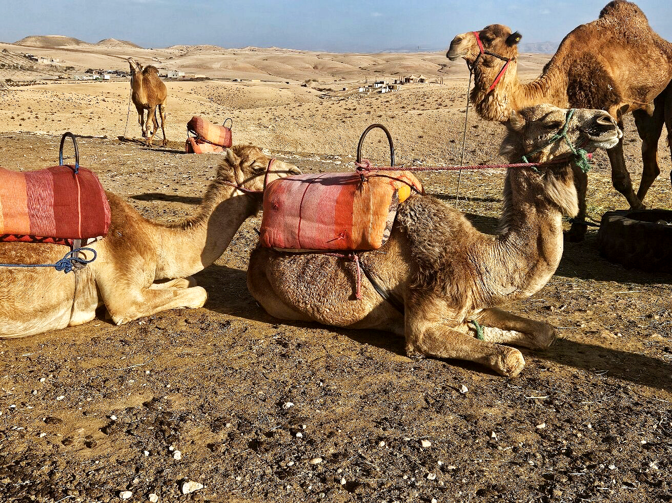 Excursion to agafay desert from Marrakesh