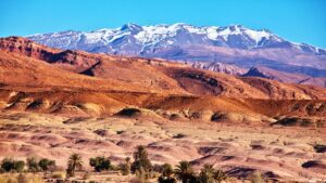 guided-desert-tours