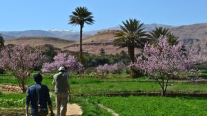 sahara-desert-todra-valley